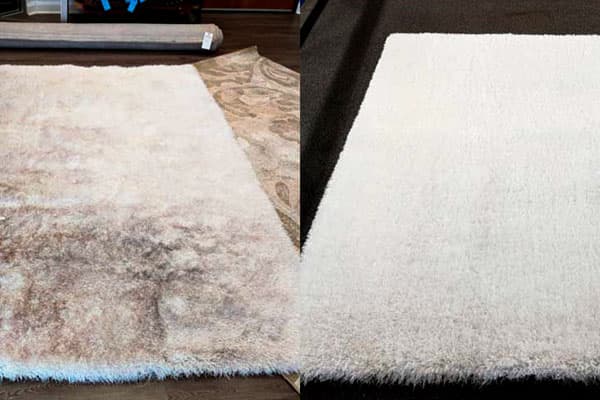 Area Rug Cleaning