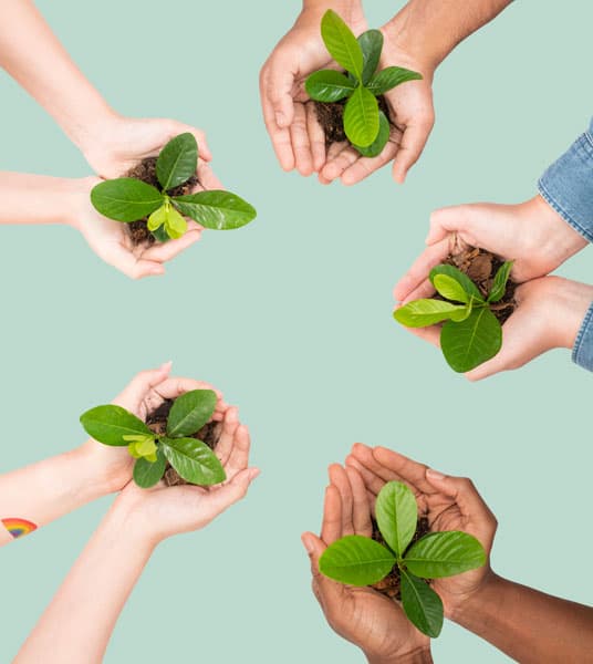 Eco-Friendly and Sustainable Eco-Friendly and Sustainable